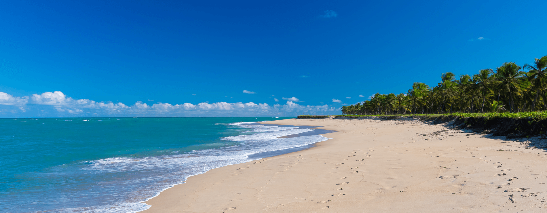 ferias-de-janeiro-maceio Praia do Gunga com grande faixa de areia, céu bem azul sem nuvens, água do mar bem azul e calmo. Vegetação bem verde e densa a esquerda.