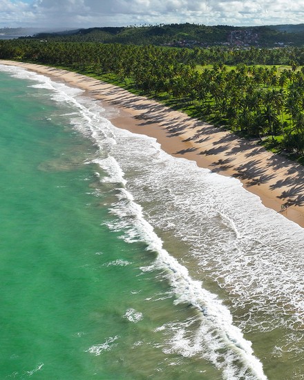 Vista aérea da orla e do coqueiral da Praia de Ipioca em Maceió Foto aérea mostrando a Praia de Ipioca com mar de águas esverdeadas, ondas suaves e uma extensa faixa de areia marcada pelas sombras de um denso coqueiral.