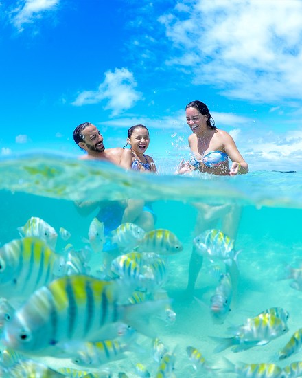 Passeio pelas piscinas naturais e mergulho em águas cristalinas de Alagoas Imagem dividida entre a superfície e o fundo do mar, mostrando família sorrindo na água transparente enquanto diversos peixes listrados nadam na parte inferior.
