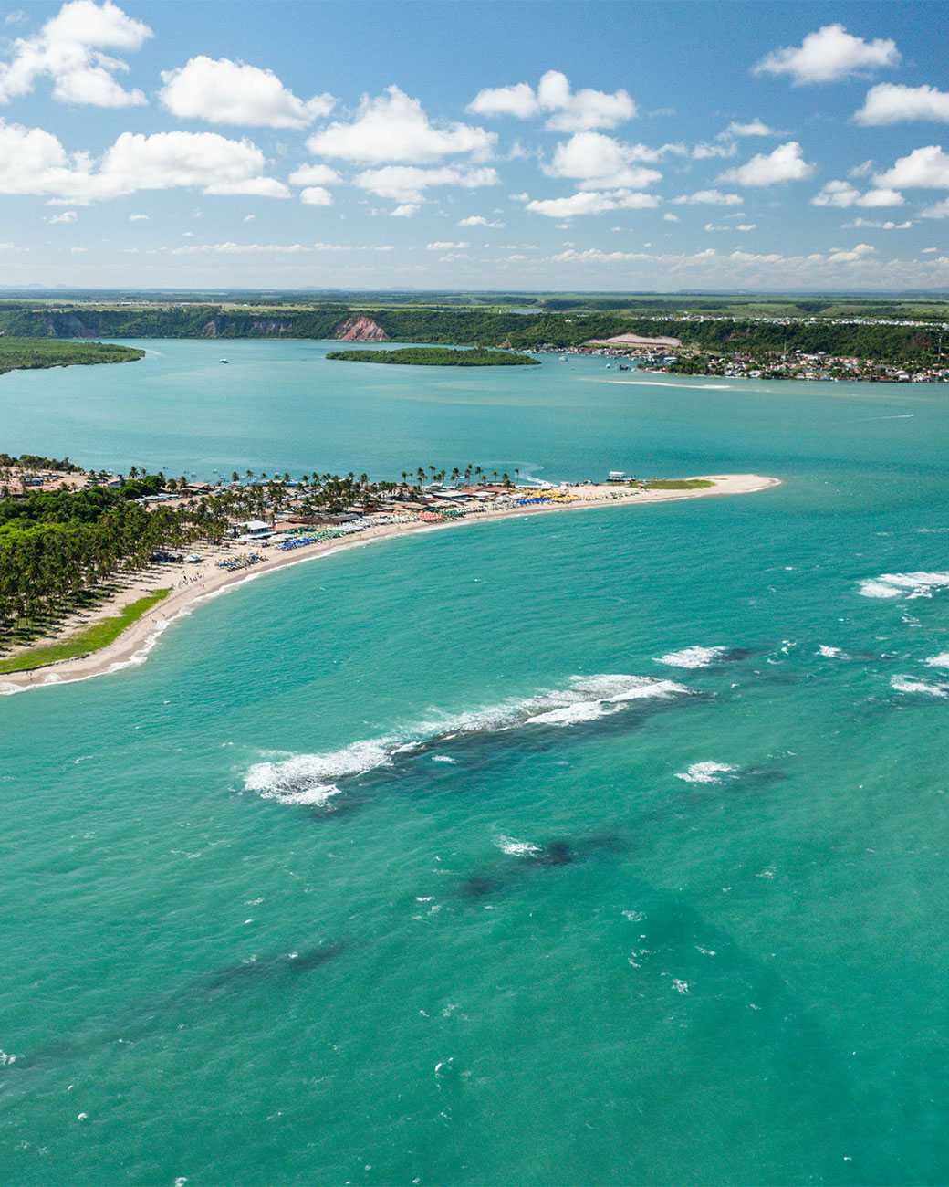 vista aérea praia do gunga Vista aérea da praia do gunga, em Maceió. Com mar calmo, faixa de areia e densa vegetação nativa.
