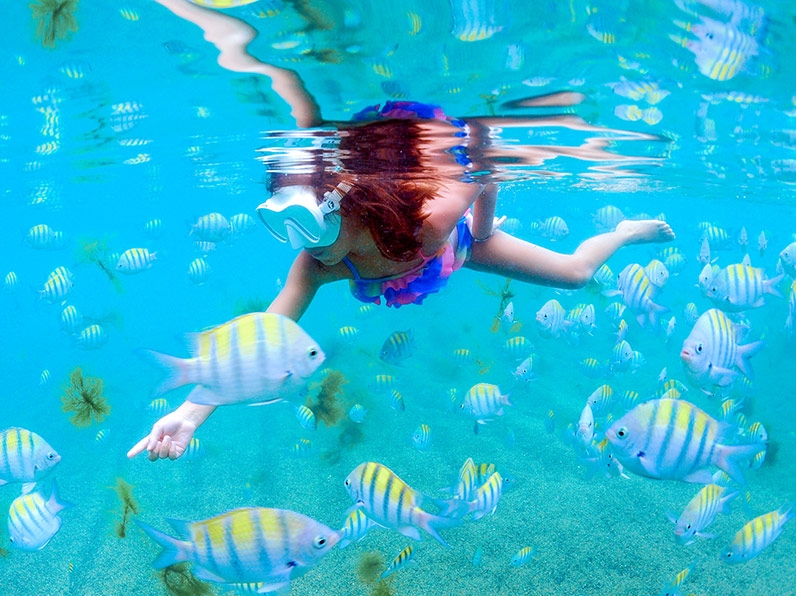 Criança mergulha com peixes em piscinas naturais de Pajuçara, praia de Maceió, Alagoas.