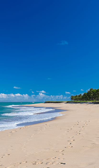 Praia do Gunga com grande faixa de areia, céu bem azul sem nuvens, água do mar bem azul e calmo. Vegetação bem verde e densa a esquerda.