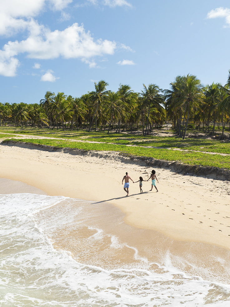 A paz de um lugar chamado Praia do Gunga. Vista aérea de família caminhando de mãos dadas na Praia do Gunga, em Maceió, com extenso coqueiral e mar em tons de verde e céu azul.