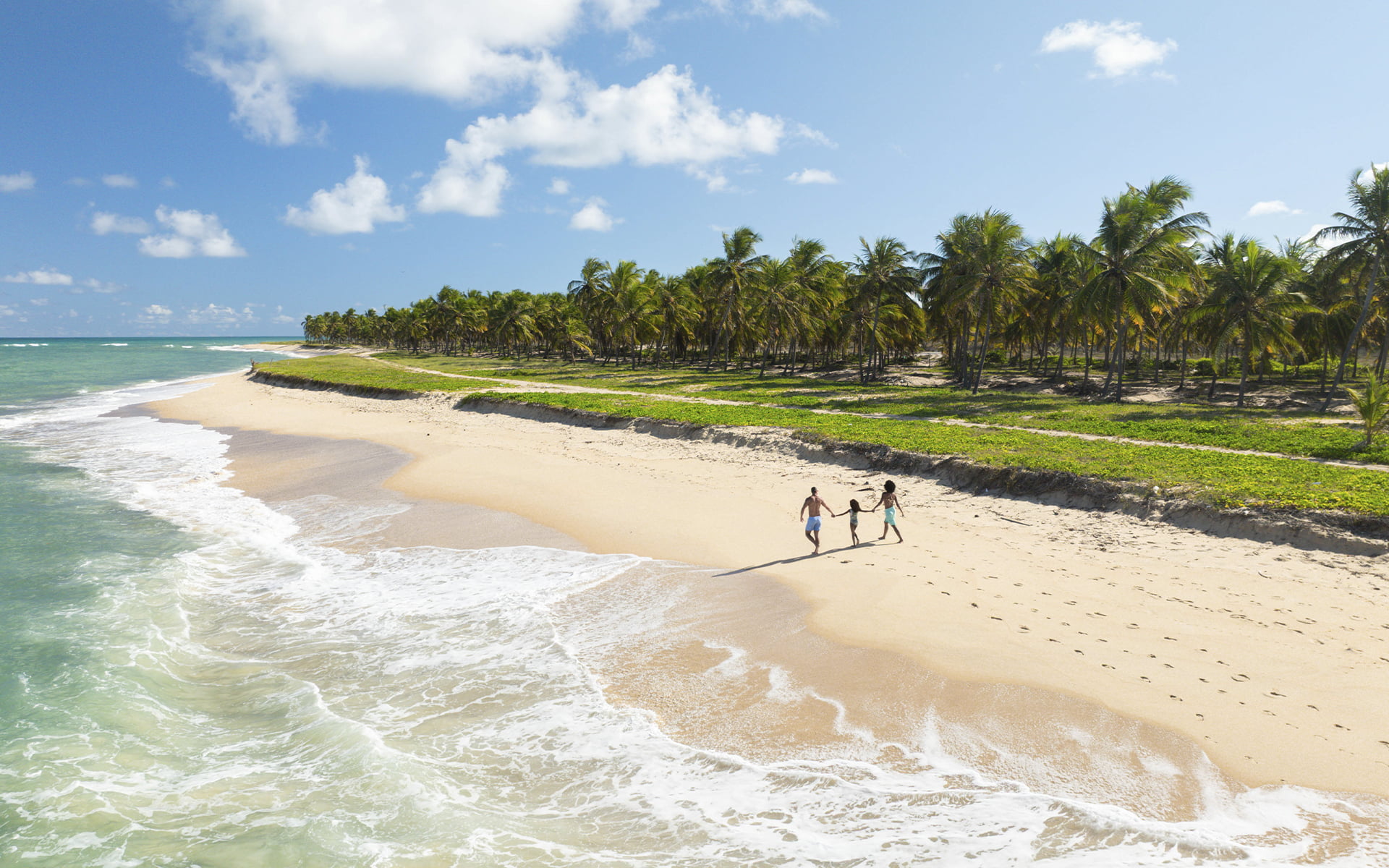 A paz de um lugar chamado Praia do Gunga. Vista aérea de família caminhando de mãos dadas na Praia do Gunga, em Maceió, com extenso coqueiral e mar em tons de verde e céu azul.
