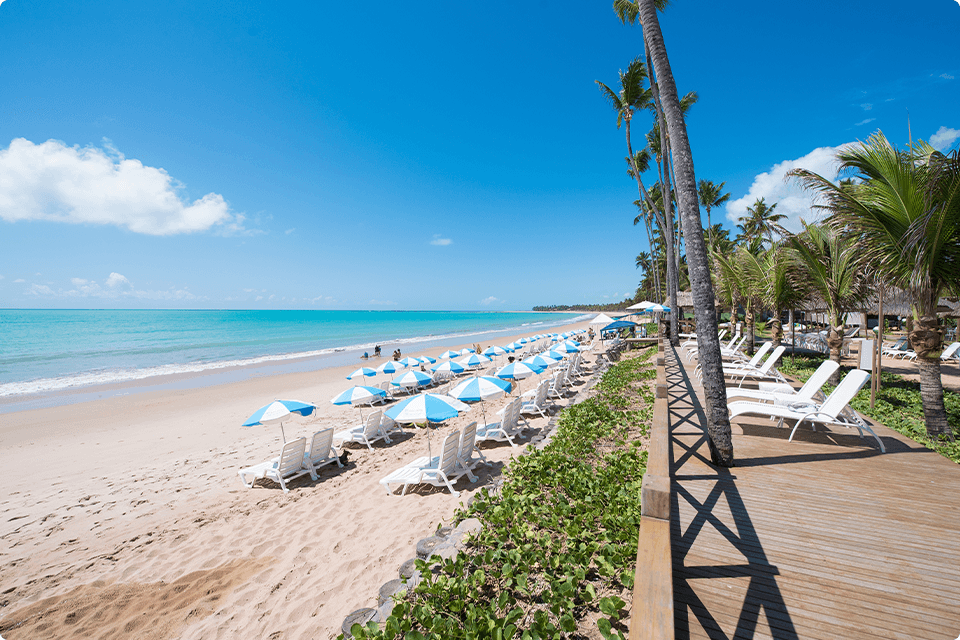 Vista da praia do deque de madeira, com espreguiçadeiras brancas, tem várias cadeiras de sol brancas, guarda-sóis azuis e brancos na areia, coqueiros, mar azul turquesa e céu azul.
