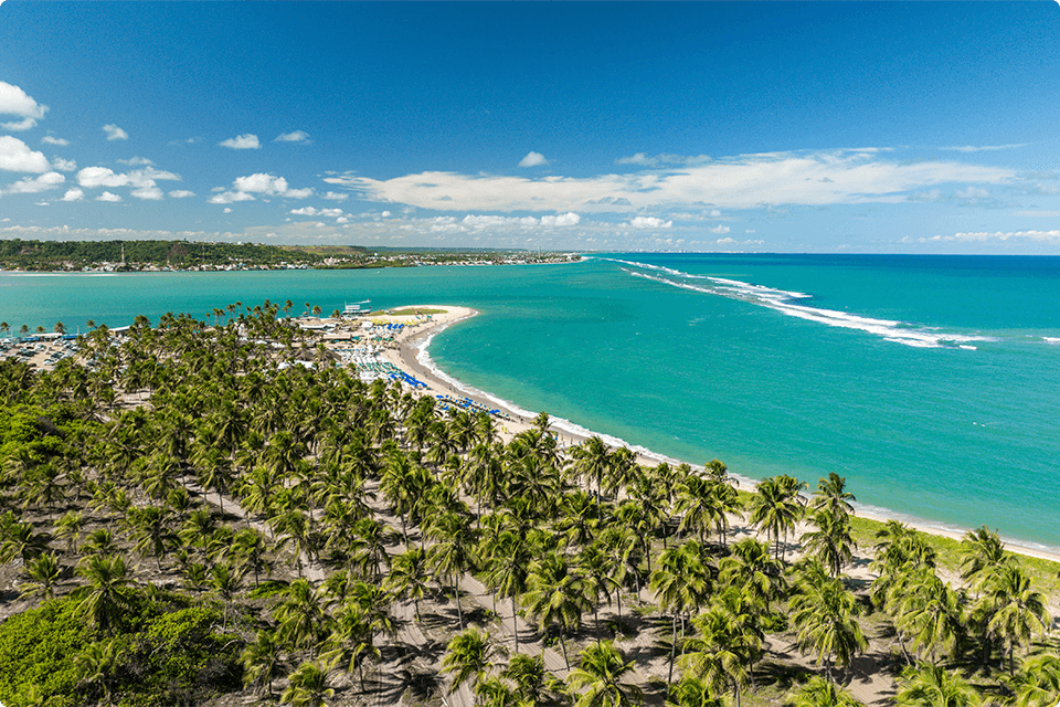 Vista aérea da Praia do Gunga, em Alagoas, com coqueirais e o encontro do mar com a lagoa. Um destino incrível pra fazer um passeio nas férias em família e ter contato com a natureza.