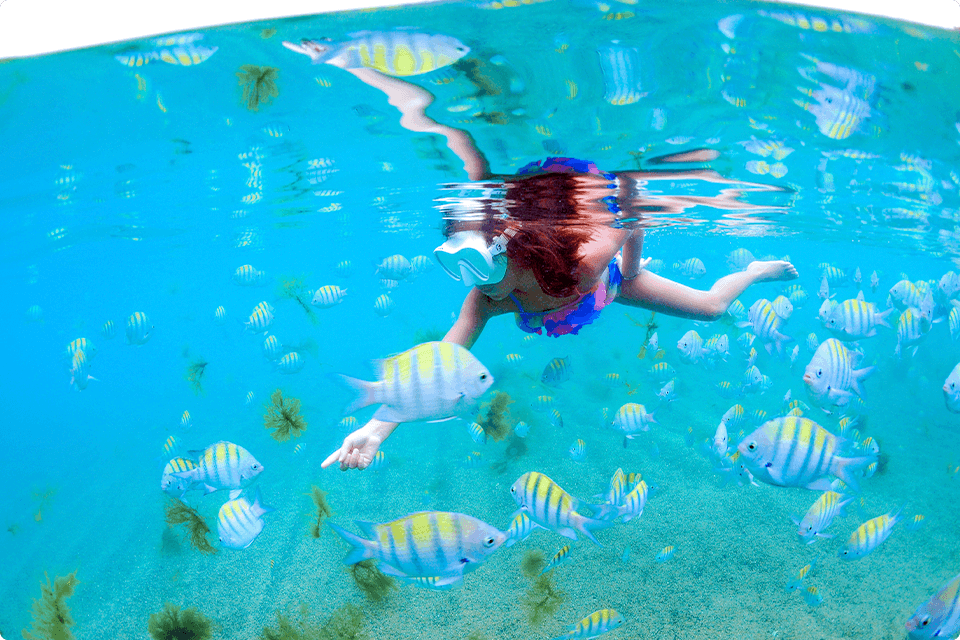 Criança de óculos pra mergulhar em piscinas naturais de Pajuçara, em Maceió, rodeada por peixes listrados branco e verde amarelado dentro d'água.