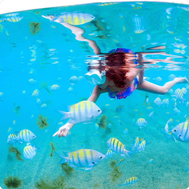 Criança de óculos pra mergulhar em piscinas naturais de Pajuçara, em Maceió, rodeada por peixes listrados branco e verde amarelado dentro d'água.