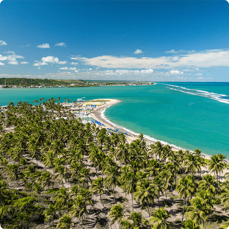 Vista aérea da Praia do Gunga, em Alagoas, com coqueirais e o encontro do mar com a lagoa. Um destino incrível pra fazer um passeio nas férias em família e ter contato com a natureza.