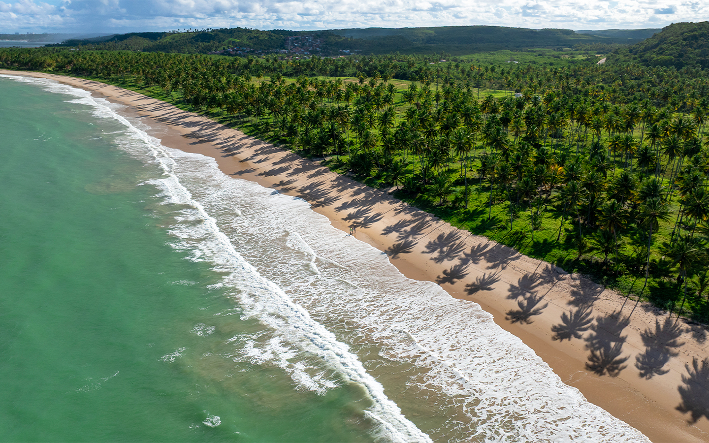 Vista aérea da praia no estado de Alagoas, com grande faixa de areia, vegetação bem verde ao fundo com céu azul sobre mar esverdeado.