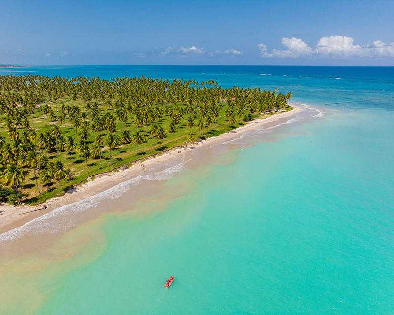 Imagem aérea da Praia de Ipioca, em Alagoas, com visualização de águas cristalinas, faixa de areia e extensão de coqueiros.