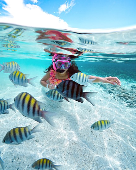 Passeio às piscinas naturais em Maragogi Criança mergulhando em águas cristalinas, cercada por peixes listrados nas piscinas naturais de Maragogi.