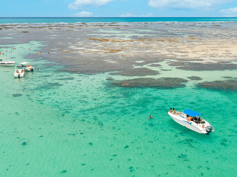 Vista aérea das piscinas naturais de Galés de Maragogi, em Alagoas.