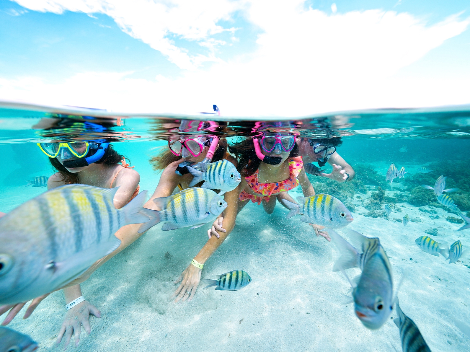 Crianças fazendo snorkel nas piscinas naturais de Maragogi, nadando com peixinhos listrados em mar cristalino.