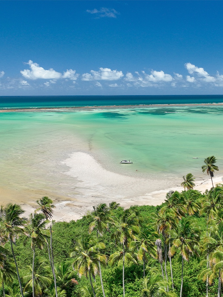 Ponta de Mangue