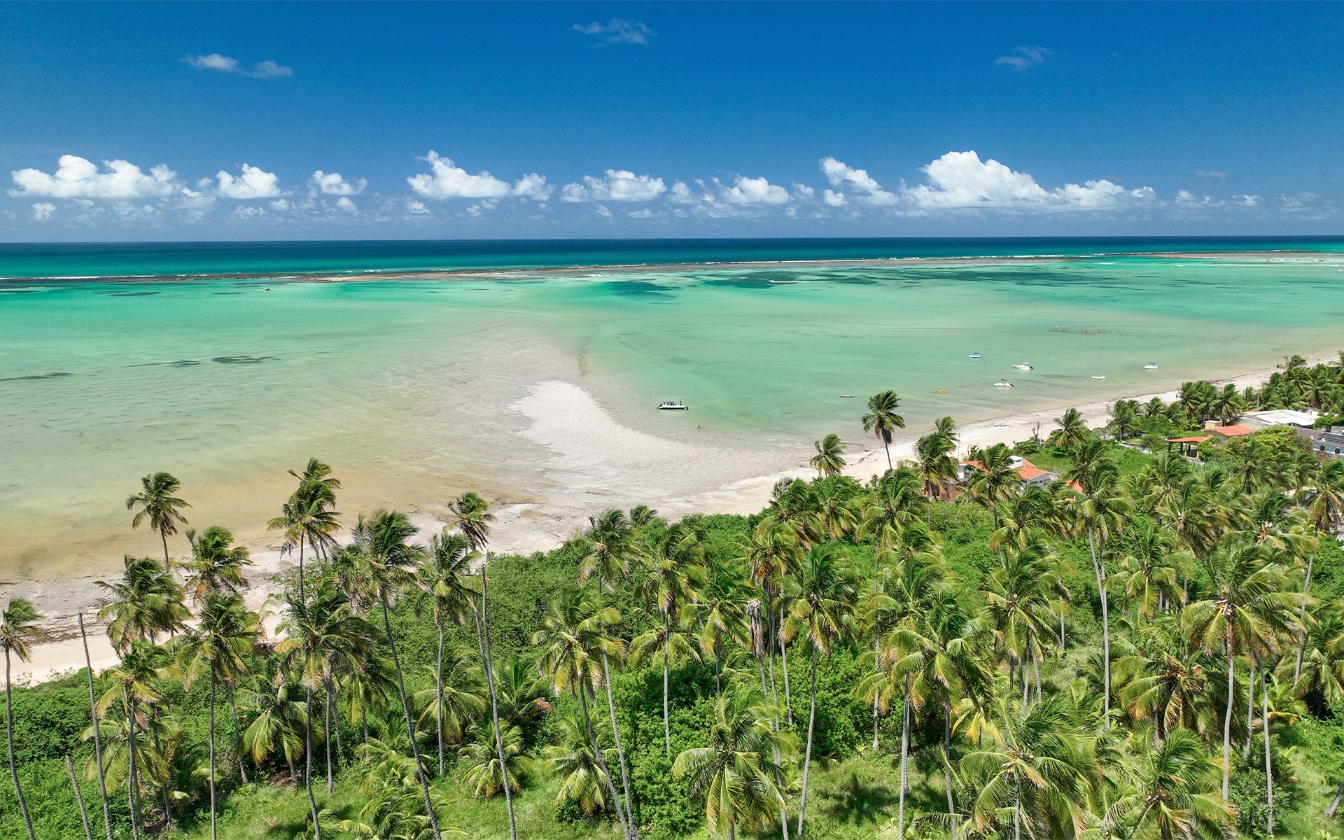 Ponta de Mangue