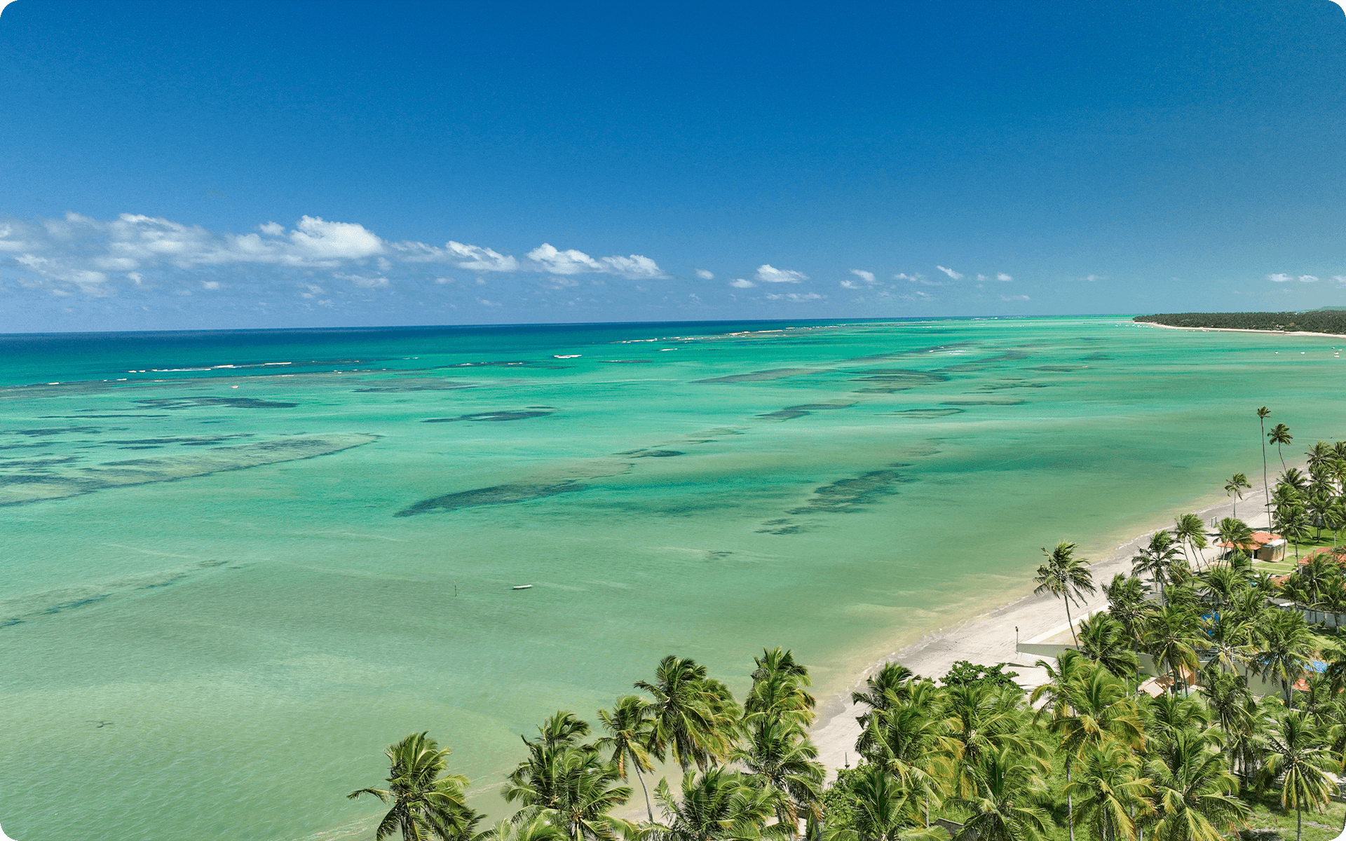 Vista áerea de Ponta de Mangue com maaré baixa. A água é cristalina e azul turquesa vivo, abaixo tem inúmeros coqueiros em dia ensolarado.