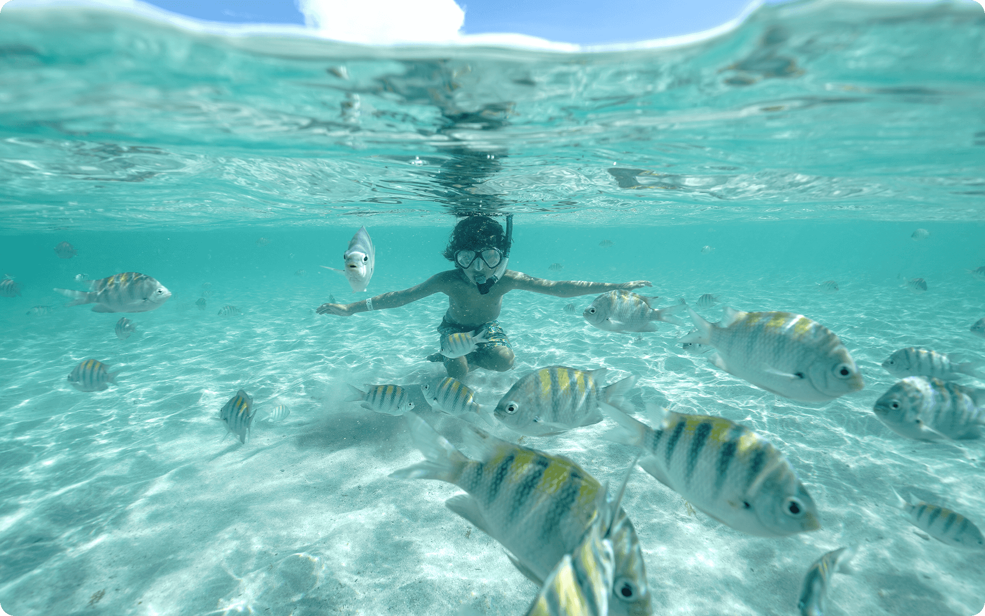 Criança brincando com peixinhos em piscina natural, a água é cristalina. A criança está com óculos de mergulho.