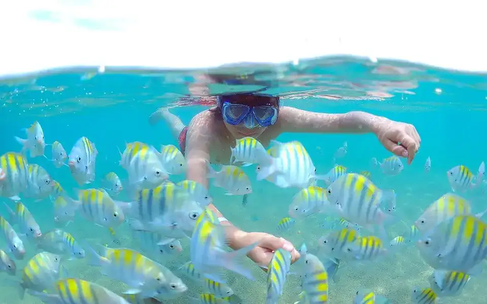 A imagem mostra uma criança submersa em água cristalina usando um snorkel e óculos de mergulho, cercada por um cardume de peixes listrados amarelos e brancos. Ele estende a mão em direção aos peixes, que parecem não se incomodar com a proximidade humana.