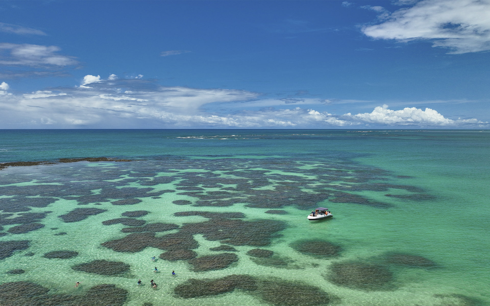 As piscinas naturais que fazem das Galés de Maragogi um lugar único Vista aérea dos corais e piscinas naturais das Galés de Maragogi, com barco ancorado e pessoas mergulhando nas águas paradisíacas.