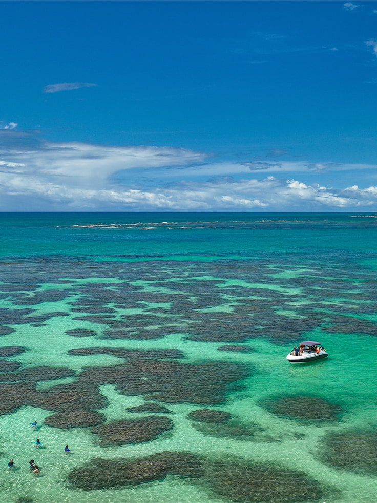 As piscinas naturais que fazem das Galés de Maragogi um lugar único Vista aérea dos corais e piscinas naturais das Galés de Maragogi, com barco ancorado e pessoas mergulhando nas águas paradisíacas.