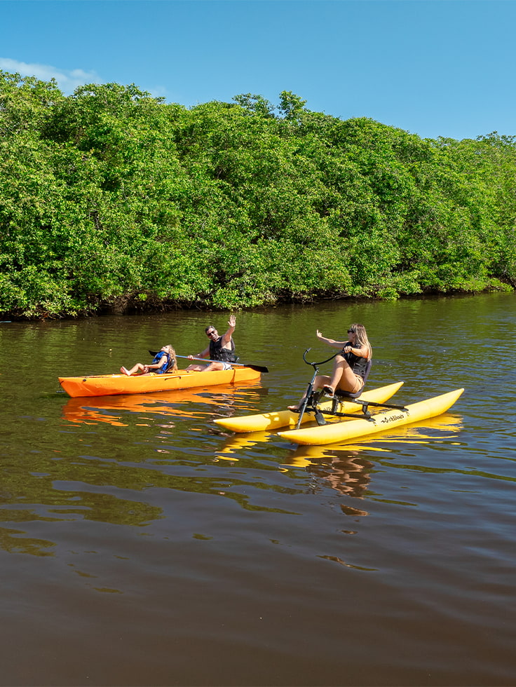 Aventuras fazem parte das férias de 2027 Família em passeio de caiaque pelo Rio Maragogi, cercado por vegetação de mangue nativa.