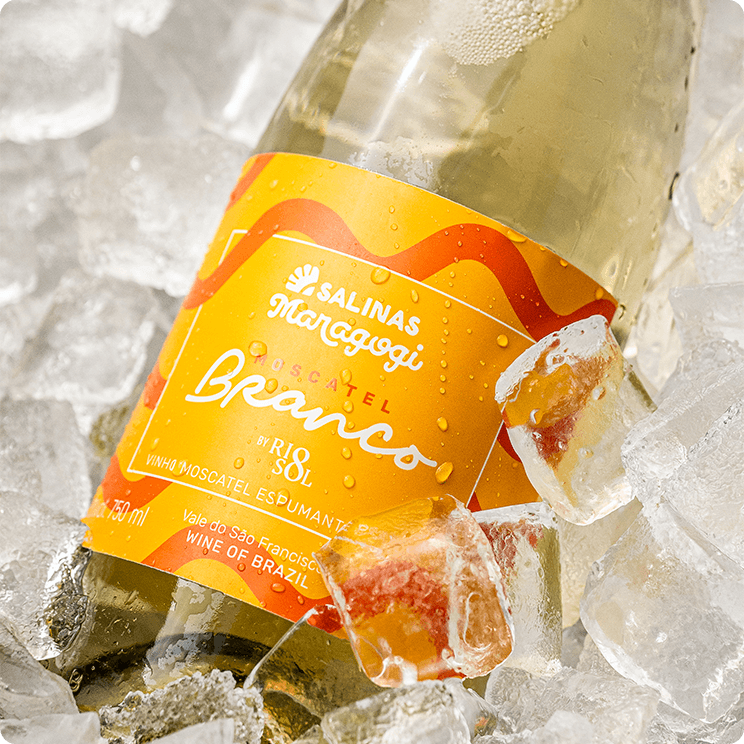 Garrafa de espumantes do Salinas Maragogi em meio aos gelos.