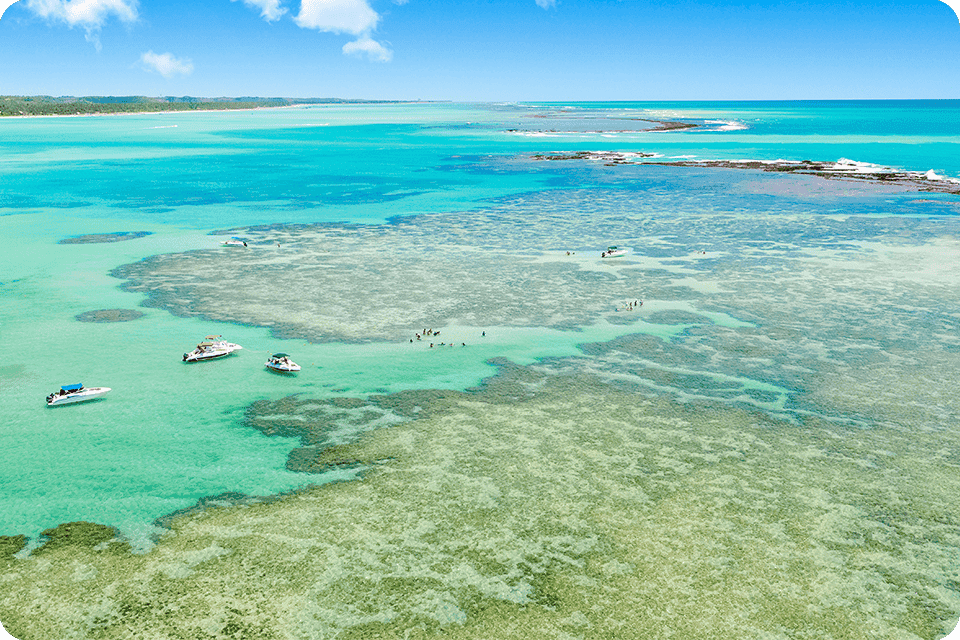 Vista aérea da praia de Barra Grande, com águas cristalinas e
piscinas naturais, proporcionando um cenário paradisíaco.