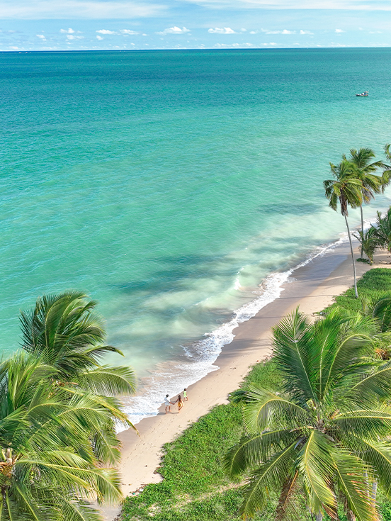 Praia de Barra Grande um lugar paradisíaco Vista aérea da Praia de Barra Grande com mar em tons de turquesa, areia clara e extensa fileira de coqueiros. E ao fundo o horizonte com o encontro do mar e o céu.