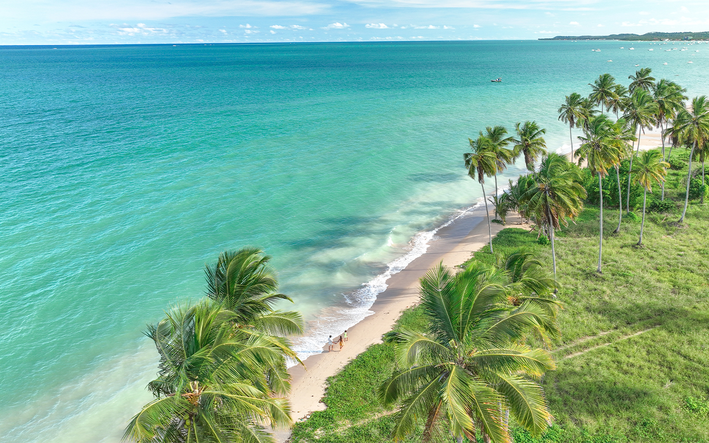 Praia de Barra Grande um lugar paradisíaco Vista aérea da Praia de Barra Grande com mar em tons de turquesa, areia clara e extensa fileira de coqueiros. E ao fundo o horizonte com o encontro do mar e o céu.