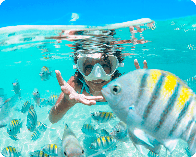 Menina nada com peixes Sargentos, típicos da costa nordestina brasileira, nas piscinas naturais de Maragogi.