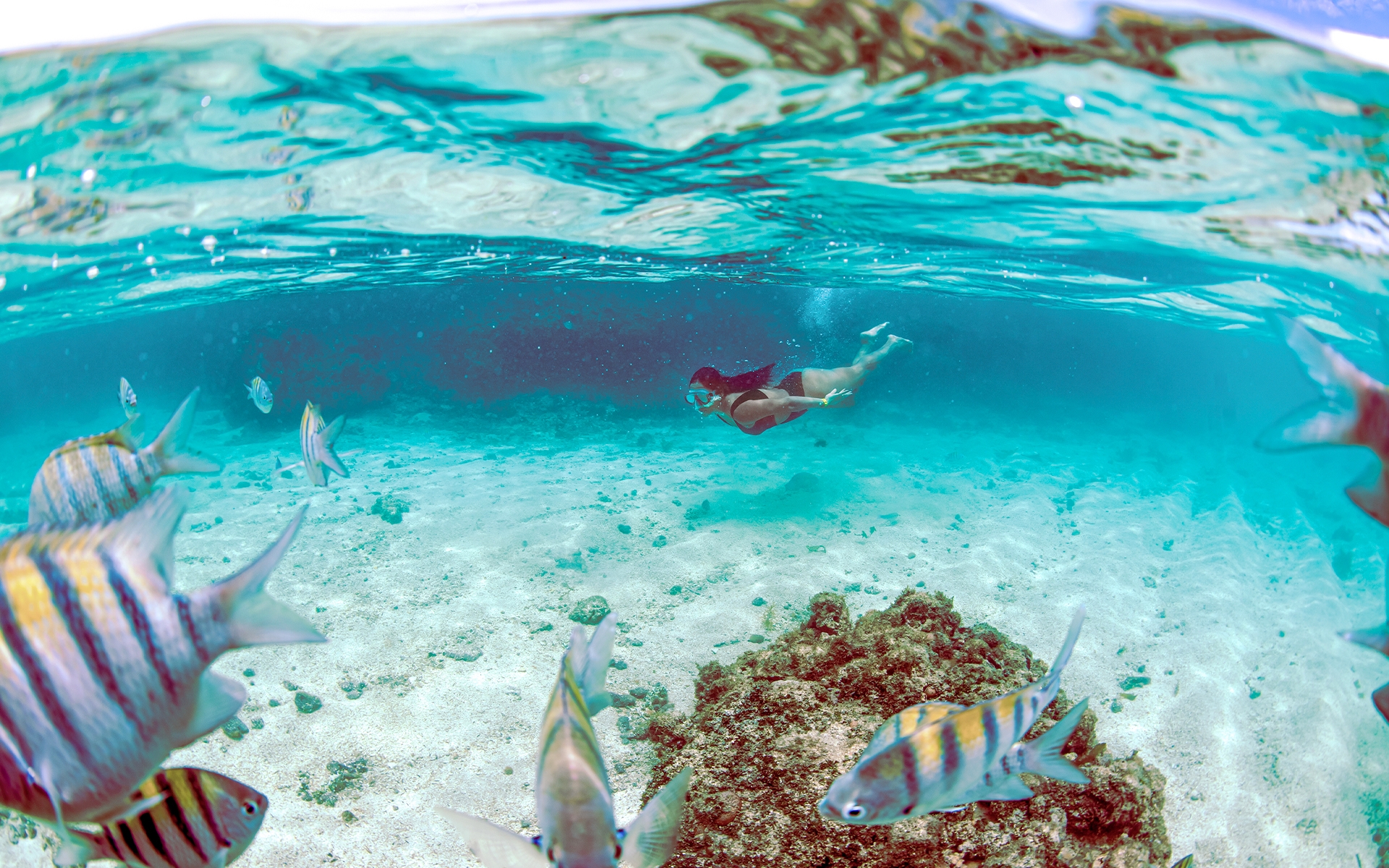 piscinas-naturais-gales-de-maragogi Mulher praticando mergulho de snorkel nas piscinas naturais de Maragogi e nadam com cardume de Sargentos, peixes de água salgada.