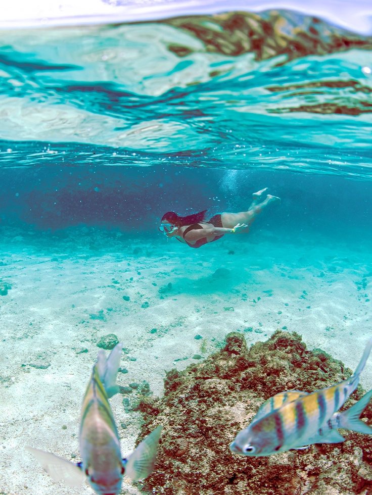 piscinas-naturais-gales-de-maragogi Mulher praticando mergulho de snorkel nas piscinas naturais de Maragogi e nadam com cardume de Sargentos, peixes de água salgada.