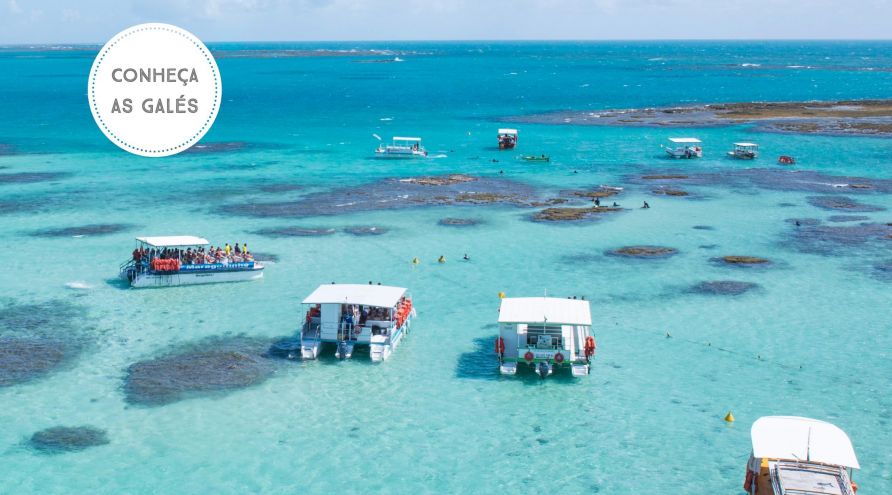 Galés - Conheça as Piscinas Naturais de Maragogi