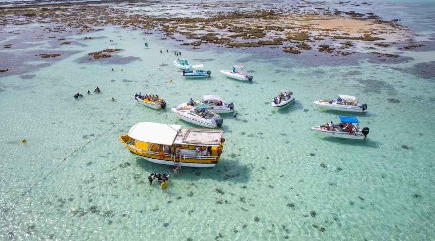 Você conhece as piscinas naturais de Maragogi?