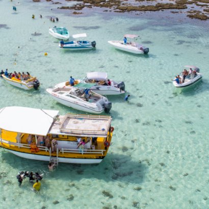 Piscinas naturais de Maragogi: confira dicas pra conhecer mais sobre o ponto turístico