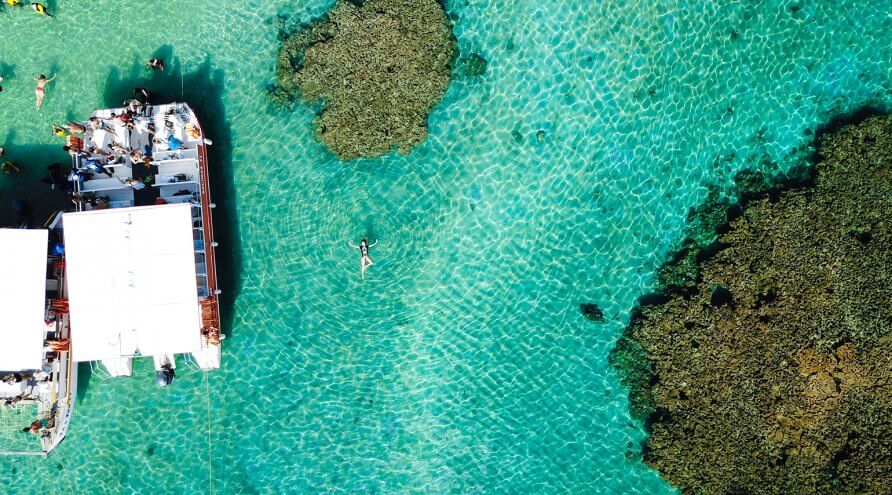 6 Dicas de Passeios em Maragogi