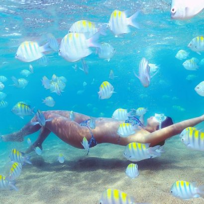 Mergulho em Maceió: confira as melhores dicas pra viver essa aventura embaixo d’água