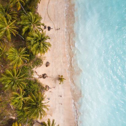 Praia de Salinas Maragogi: seu guia completo de viagem