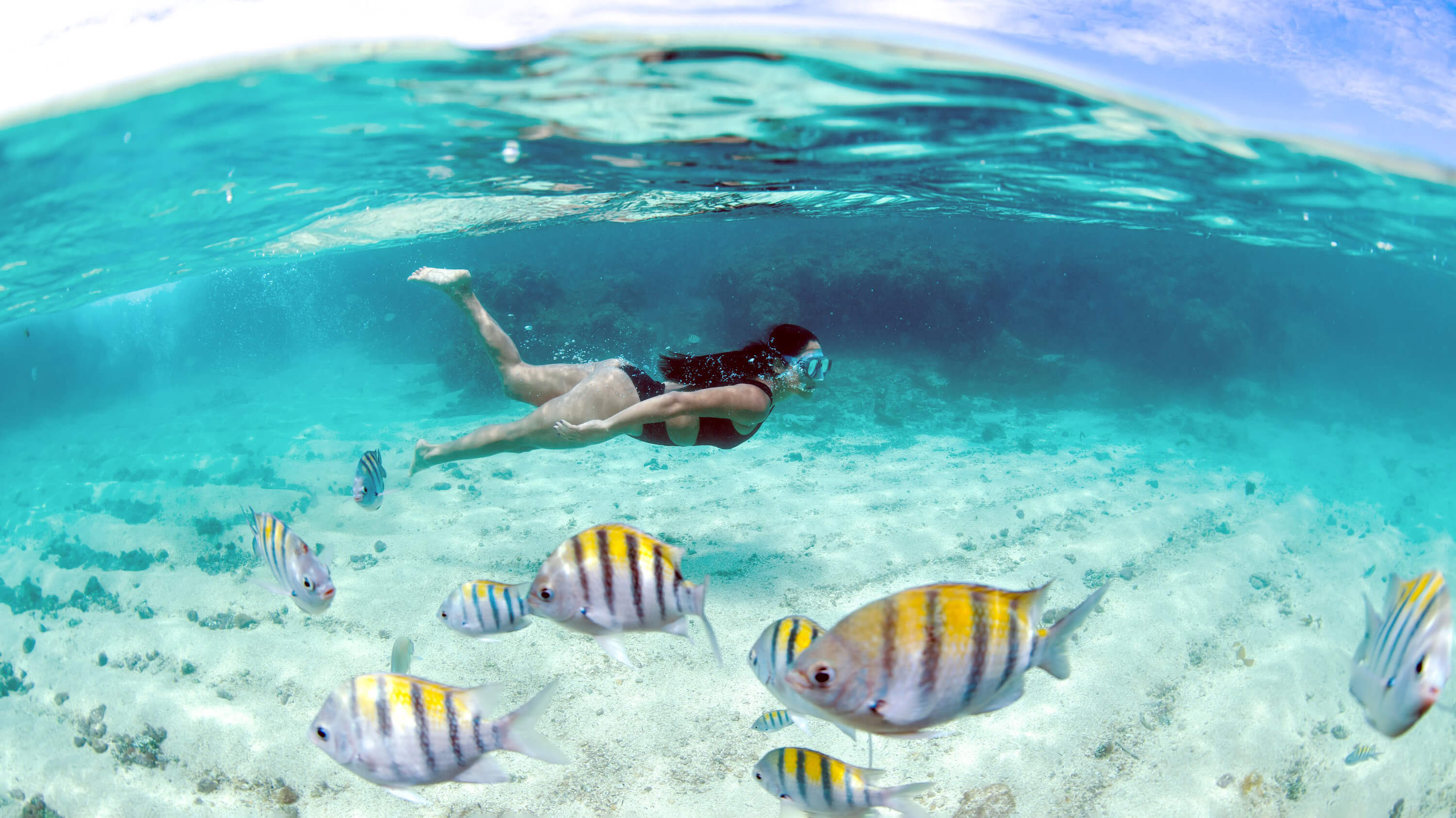 Https://Www.Passagenspromo.Com.Br/Blog/Maragogi Conheca O Caribe Brasileiro/ - tza0l6d