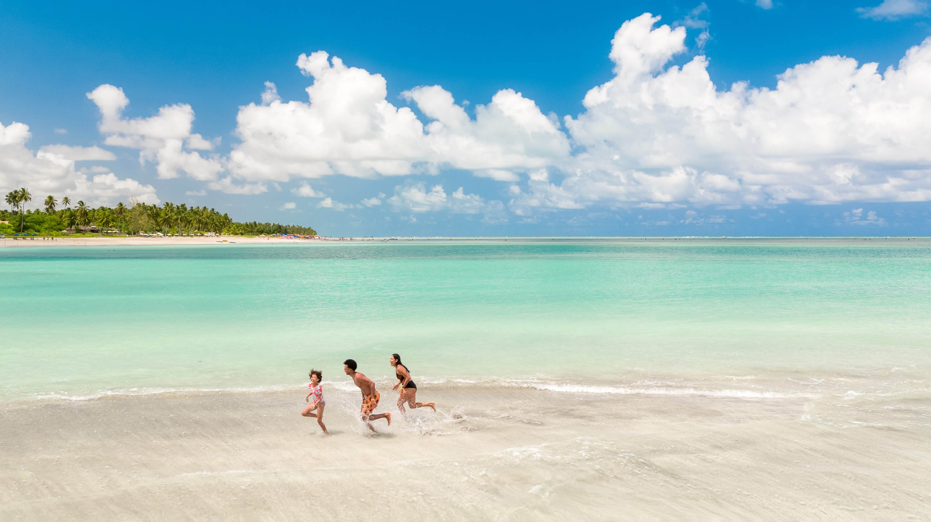 Https://Www.Passagenspromo.Com.Br/Blog/Maragogi Conheca O Caribe Brasileiro/ - l1zmpwd
